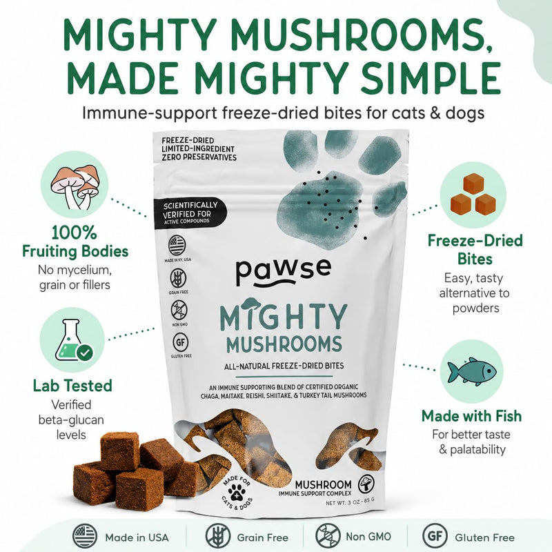 Pawse Mighty Mushroom Chews Supplement for Dogs & Cats | Blend of Turkey Tail, Reishi, Chaga, Maitake & Shiitake | for Immune System, Lumps & Bumps, Gut Health & Skin Support | 60 Chews