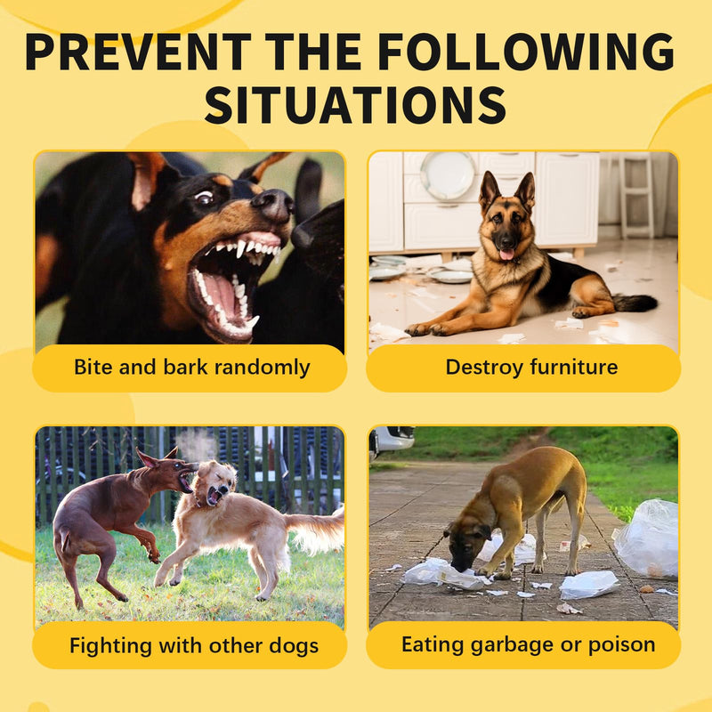 GUTERTOP Pack of 2 muzzles for small dogs, poison bait protection dog, muzzle Chihuahua anti-chewing barking for Chihuahua Shih Tzu small dogs - BeesActive Australia