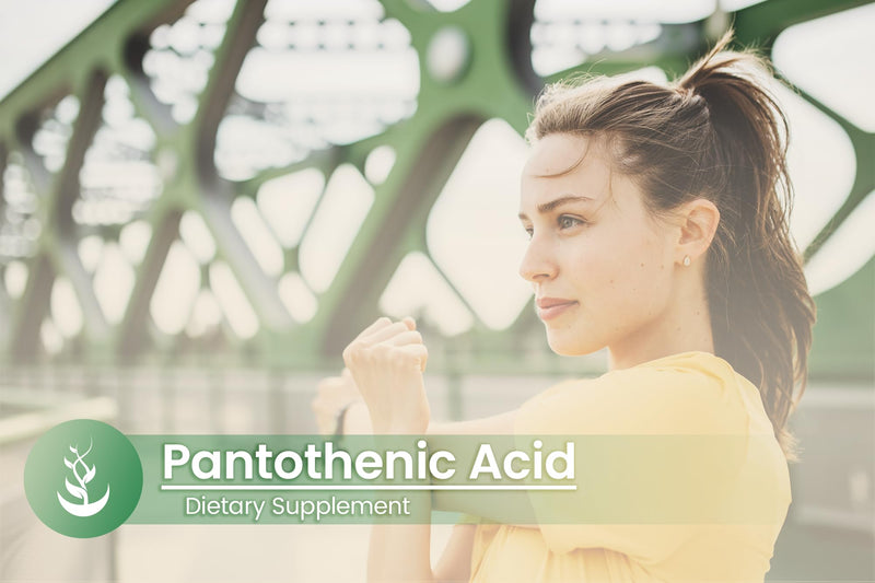 PURE ORIGINAL INGREDIENTS Pantothenic Acid (100 Capsules) Pure, Vitamin B5, Calcium Supplement 1 Count (Pack of 100)