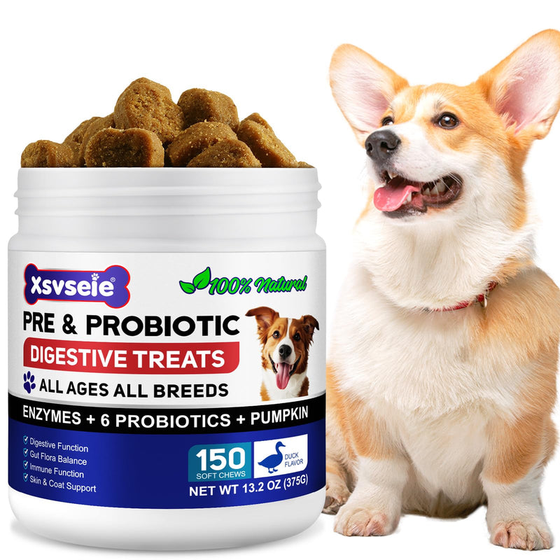 Probiotics for Dogs, Dog Probiotics for Gut Health, Dog Probiotic Supplements, dog probiotics and Digestive Enzymes with Prebiotics, Digestive Support & Itchy Skin Relief,Allergies,Reduce Diarrhea,Gas
