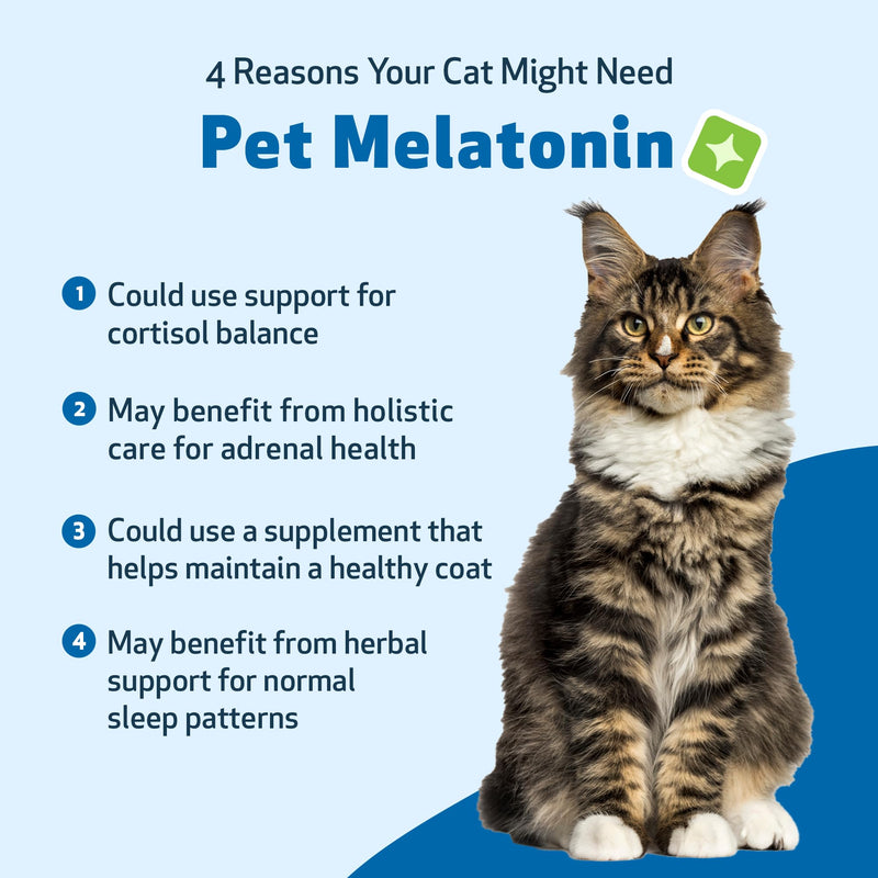 Pet Wellbeing Pet Melatonin for Cats - Vet-Formulated Holistic Feline Sleep Support - Healthy Sleep Patterns, Circadian Rhythm Balance - Cat-Safe Liquid Melatonin Supplement 2 oz (59ml)