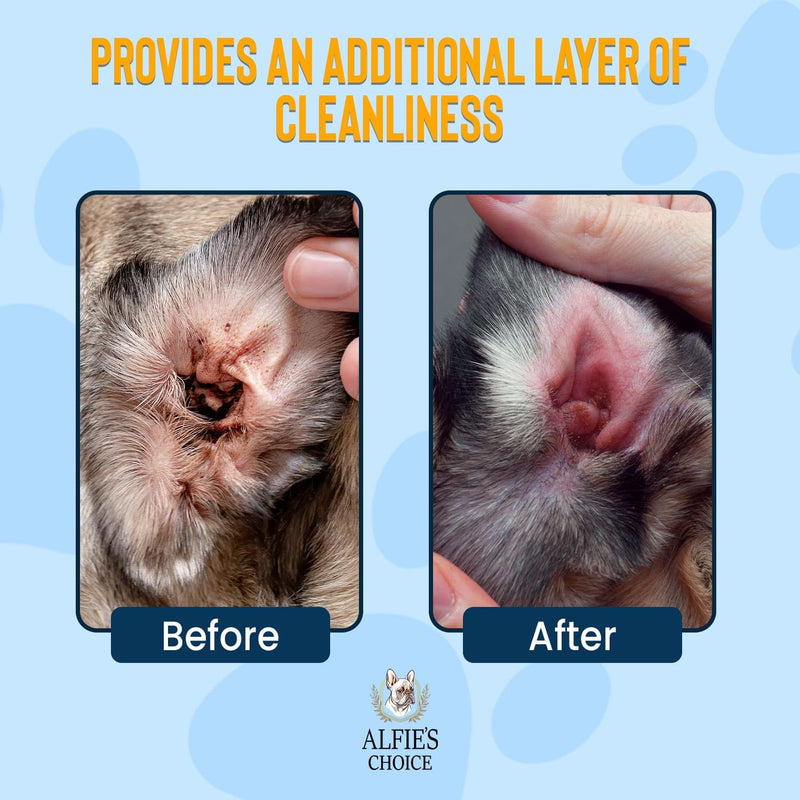 ALFIE'S CHOICE Dog Ear Wash - with Lavender & Tea Tree Oil to Soothes Pet Itchy Ears – Ear Wash for Dogs Cleans Debris and Buildup - Advanced Ear Cleanser for Dogs and Cats 16 fl oz - BeesActive Australia