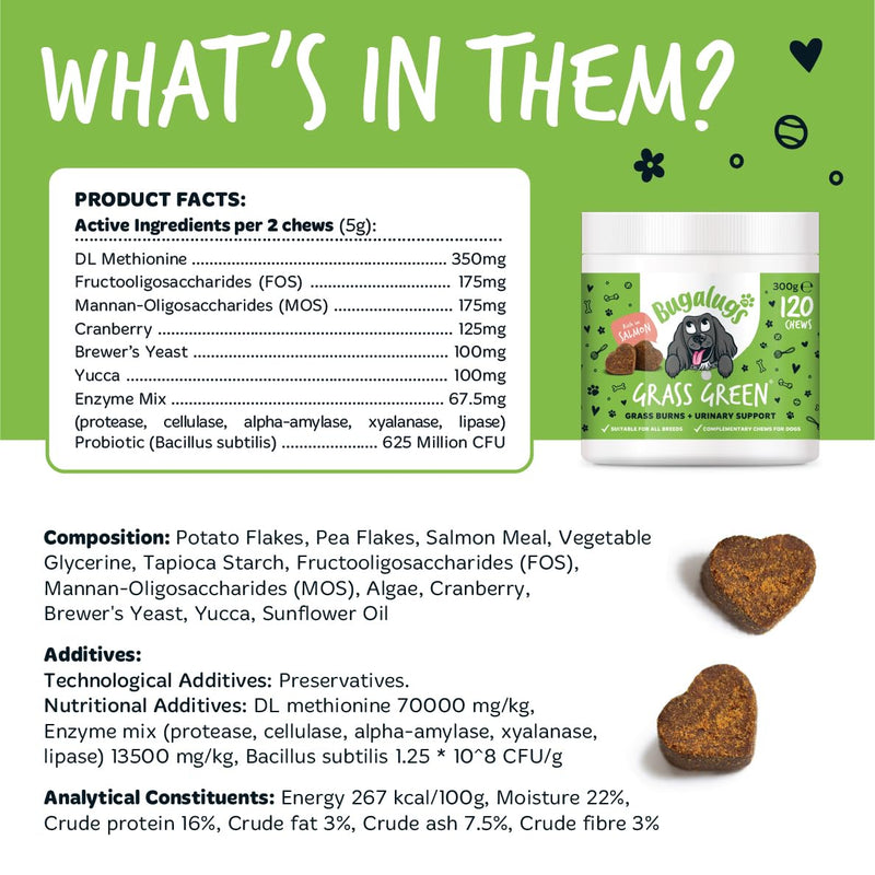 Bugalugs Grass Green Dog Supplement Chews helps support Dog Urine Neutraliser for Grass Burn with Cranberry that helps Urinary & Gut Health, Rich in Salmon, 120 Chews 300g (Pack of 1)