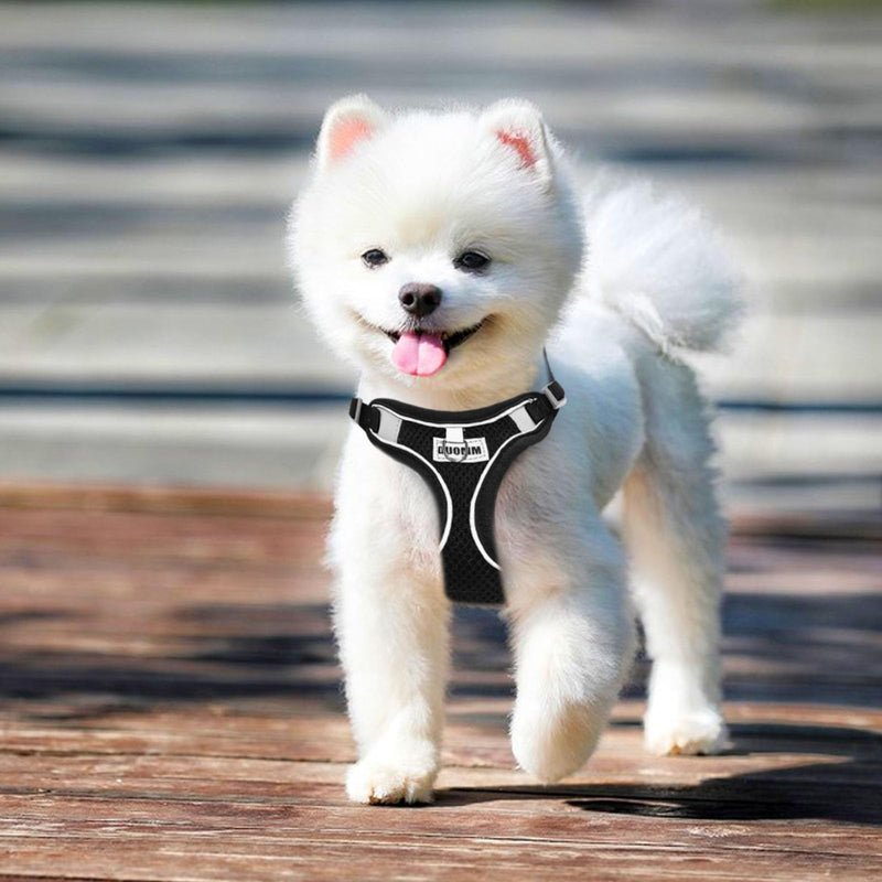 RAFIYU Anti-Pull Dog Harness Small Medium Dogs, Breathable Harness Dog Harness Luminous, Puppy Harness Luminous Harness for Dogs, Safety Harness Dog Chest Harness (M) M - BeesActive Australia