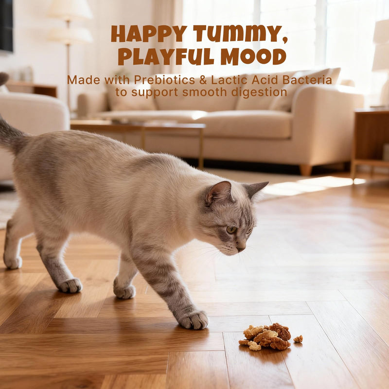 Havira Healthy Lickable Creamy Cat Treats Digestion Support – Chicken Recipe Squeeze Treats with probiotics & Lactic Cultures, Creamy Functional Snacks for Gentle Digestion & Daily Comfort, Grain Free 20