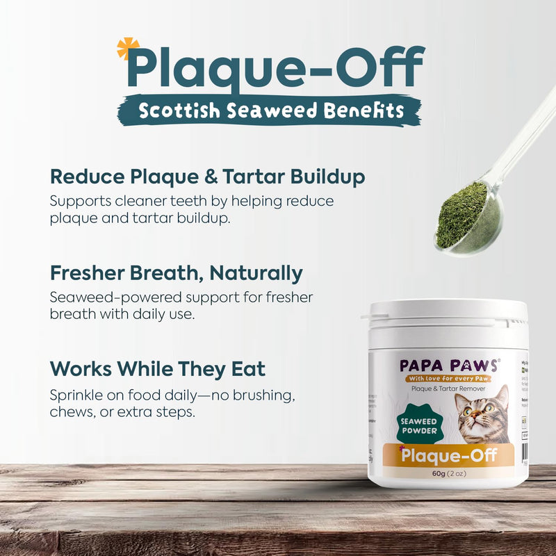 Plaque-Off Cat Dental Powder, Scottish Seaweed Tartar Remover Food Topper with Probiotics & Digestive Enzymes, Fresh Breath Support – 60g (2.1oz) Jar with Spoon For Cats