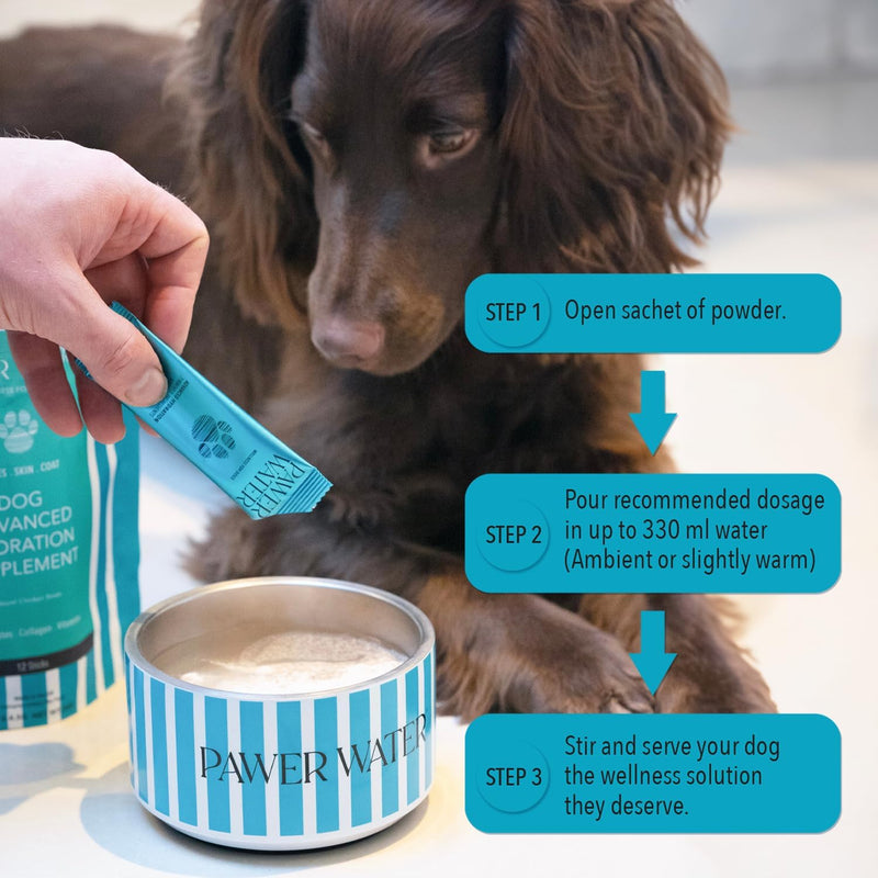 Dog Joint Support & Hydration Powder – Relieve Achy Joints, Stop Stiffness & Restore Active Mobility – with Soluble Collagen, Electrolytes & Vitamins – Natural Chicken Broth (12 Pack) Pouch of 12