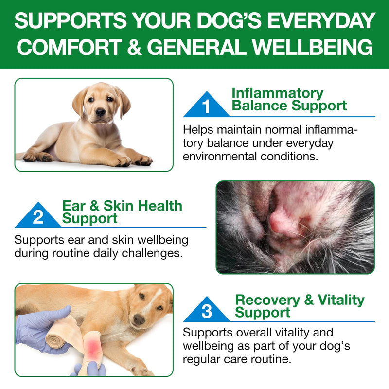 Antibiotics for Dogs - 120ml，Dog Antibiotics，Natural Antibiotics for Dogs，Itchy Skin Relief，Supports Allergy Relief，Dog Antibiotics for Skin Infection，-2Pcs Bacon Flavor (2Pcs) 2Pcs Green