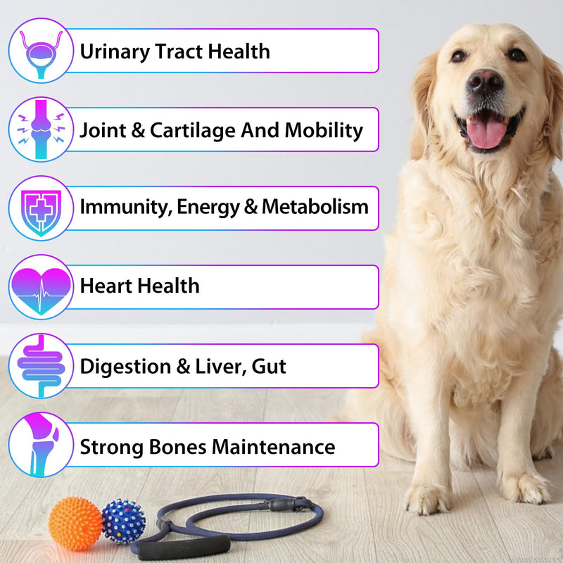 Dog Multivitamin, 15 in 1 Multivitamin for Dogs, Dog Vitamins Liquid Supplements Drops for Hip & Joint, Skin & Coat, Immune, With Glucosamine and MSM
