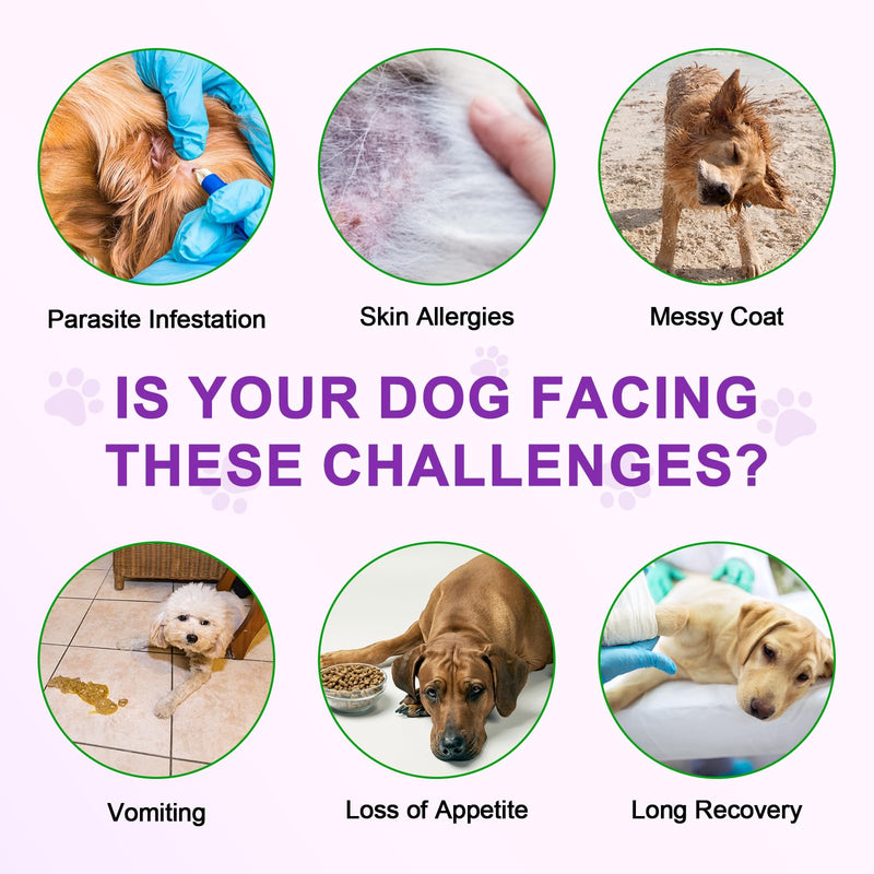 Dog Allergy Relief Treats(150 Chews) - Itchy Dog Skin Relief, Anti Itch Chews for Dogs - Soothe Itchy Skin, Paws, Eyes, Ears - Stop Itching, Licking, Scratching for All Breeds and Sizes 1