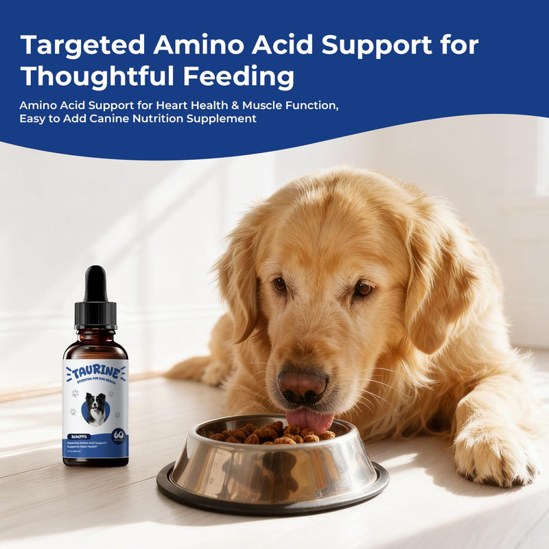 Taurine Supplement for Dogs Liquid Drops, Amino Acid Support for Heart & Muscle Function, Daily Canine Nutrition Supplement, 60 mL × 2 Bottles