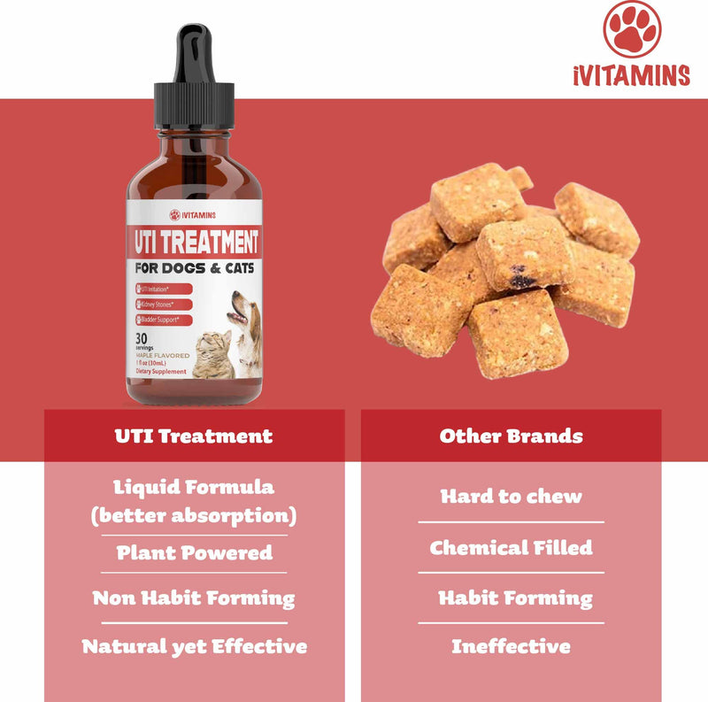 Dog UTI Treatment | Cat UTI Medicine | Cat UTI Remedy | Cranberry Supplement for Dogs | Pumpkin for Cats | Dog UTI | Cat UTI | Cranberry for Dogs | Cat Urinary Tract Infection Treatment | 1 fl oz - PawsPlanet Australia