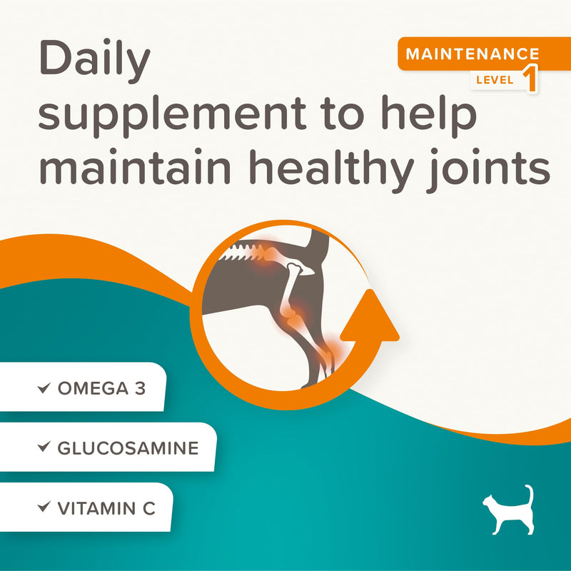 Beaphar – Flexifit® Joint Care Bits for Cats, 35g – Delicious Daily Joint Supplement – Helps Maintain Flexible Joints – Contains Glucosamine, Omega 3 & Vitamin C ~ 70 Treats