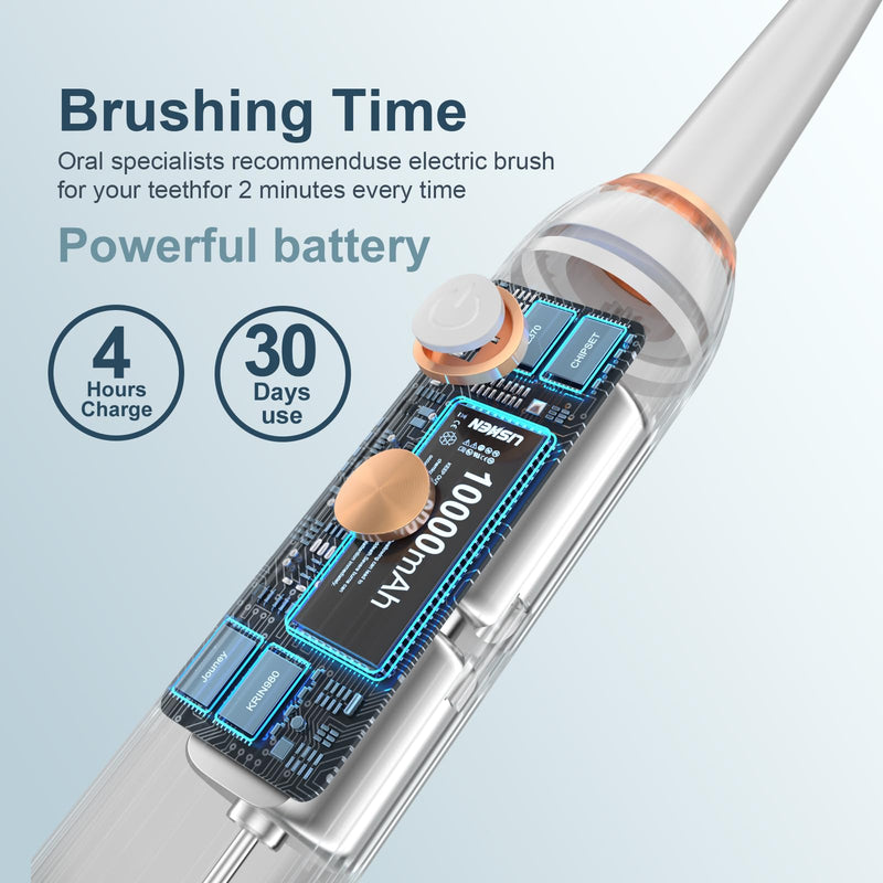 AJELU Electric Toothbrush Set with Drying & Sanitizing Holder, 8 Replacement Brush Heads, Transparent Rinse Cup, Smart Timer, USB Rechargeable for Adults White - BeesActive Australia
