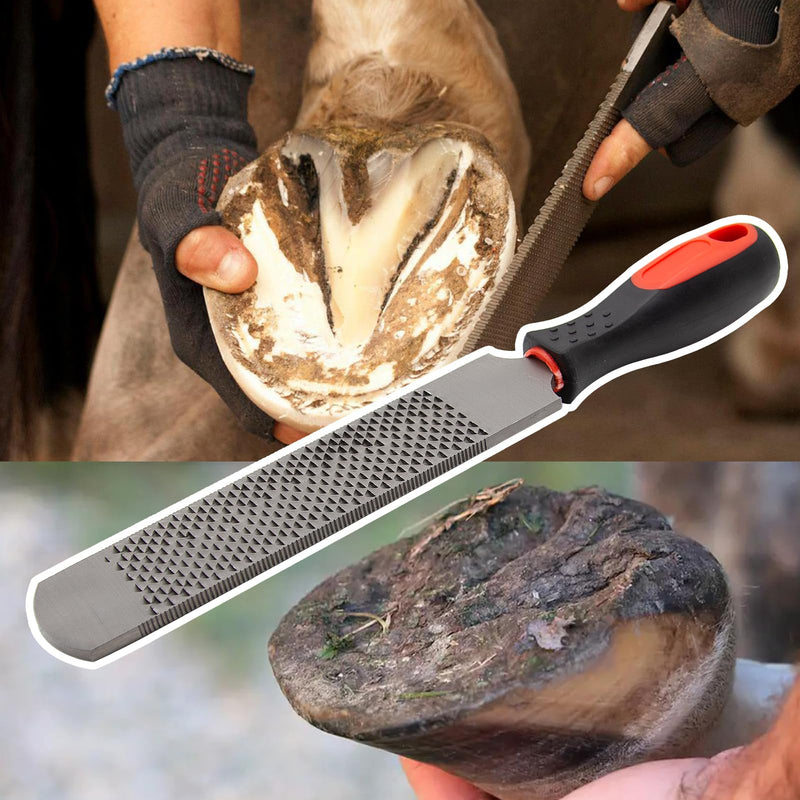 12.5 Inches Horseshoe File, Horseshoe File with Rubber Handle, Double-Sided Hoof Rasp File, Farrier Supplies Tool for Repair Horse Hooves, Goat Hooves, Cow Hooves and Wood Working - BeesActive Australia