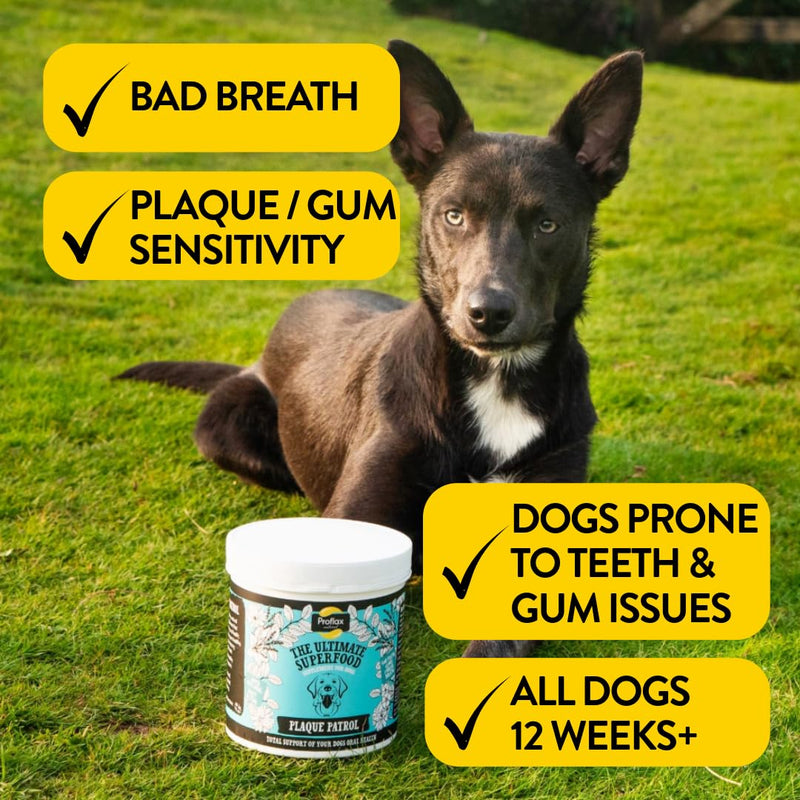 Proflax Plaque Patrol Dental Care for Dogs – Plaque & Tartar Control with Fresh Breath Support - 125g 100ml