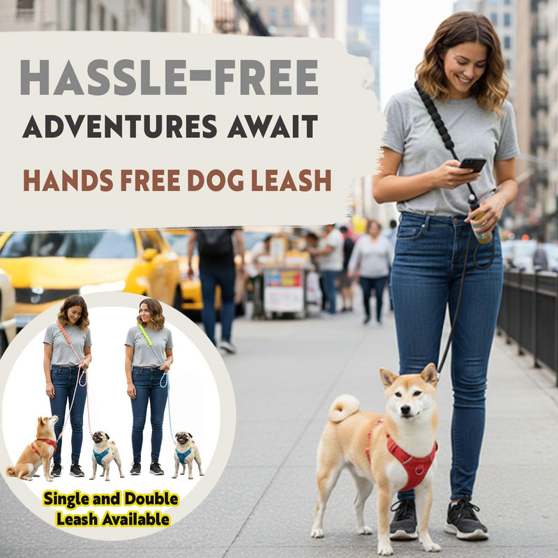 Hands Free Dog Leash for Small Medium Large Dogs, Single or Double Dog Leash with Adjustable Length Split Leads and Padded Handles Summer One Dog