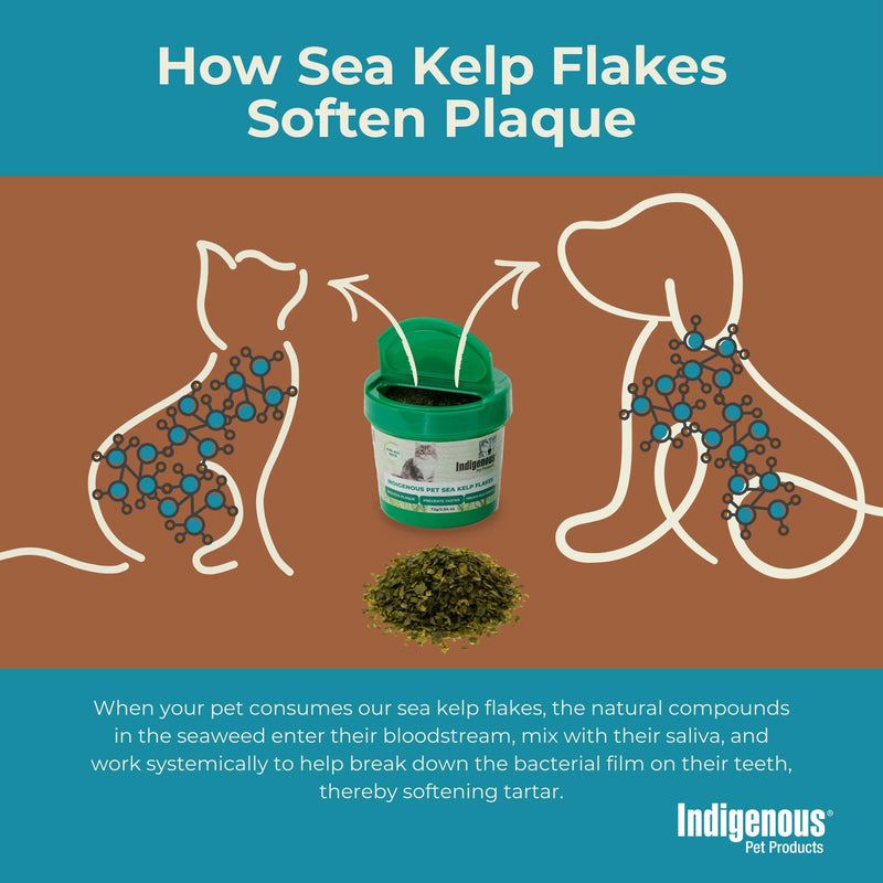 Indigenous Pet Organic Sea Kelp Flakes for Cats - 2.54 Ounce | Natural Dental Care & Fresh Breath Support | Reduces Plaque & Tartar | Boosts Immune, Digestive & Thyroid Health Cat