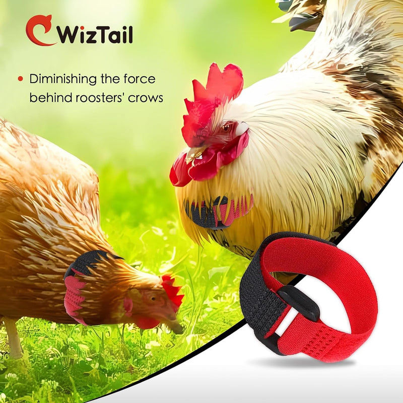 2Pcs Black and Red Crow Rooster Collar, Crow Collar, Rooster Collar, Neck Belt for Roosters Cockerel Velcro Nylon Prevent Chickens from Screaming Basic Collars - BeesActive Australia