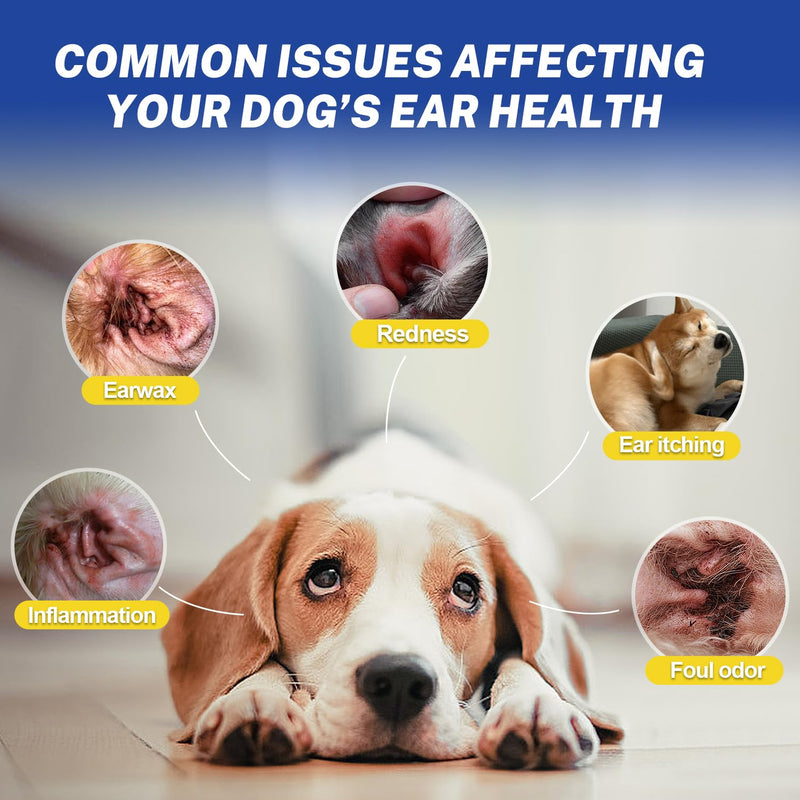 Ear Powder for Dogs Plucking,Dog Ear Infection Treatment with 5.5 Inch Tweezers Curved,Removal Ear Hair Powder,Soothes Itchy Ears & Relieve Scratching ear powder+tweezers - PawsPlanet Australia