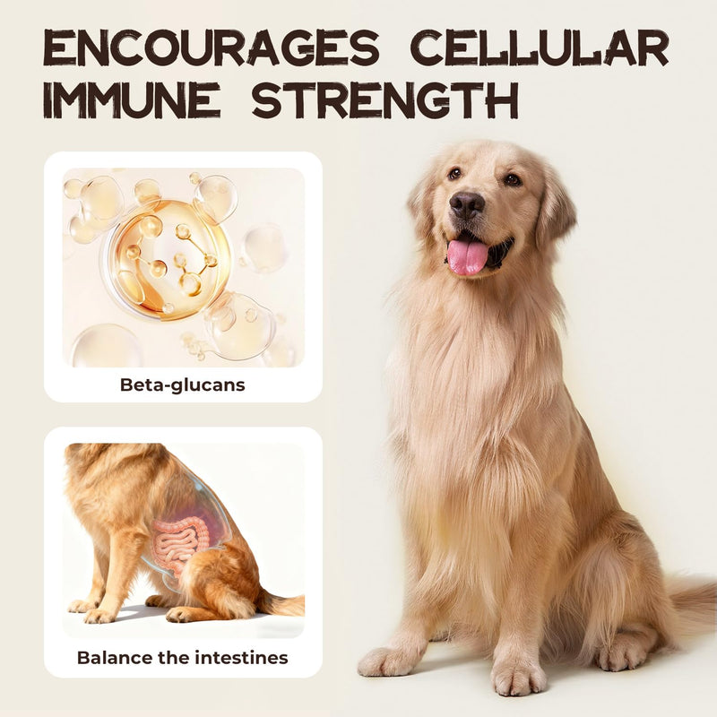 Lipoma Treatment for Dogs, Turkey Tail Mushroom Supplement with Probiotics, Supports Lumps & Bumps, Daily Immune & Digestive Balance, Lipoma Support for Dogs