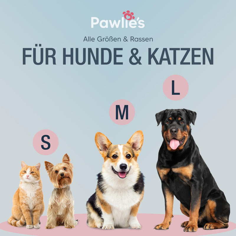 Pawlie's toothbrush for dogs and cats | Practical dog toothbrush fingerling for dental care | Brushing your dog's teeth - Cat & Dog Toothbrush | Finger toothbrush puppies | Dog dental care (2 pieces) - BeesActive Australia