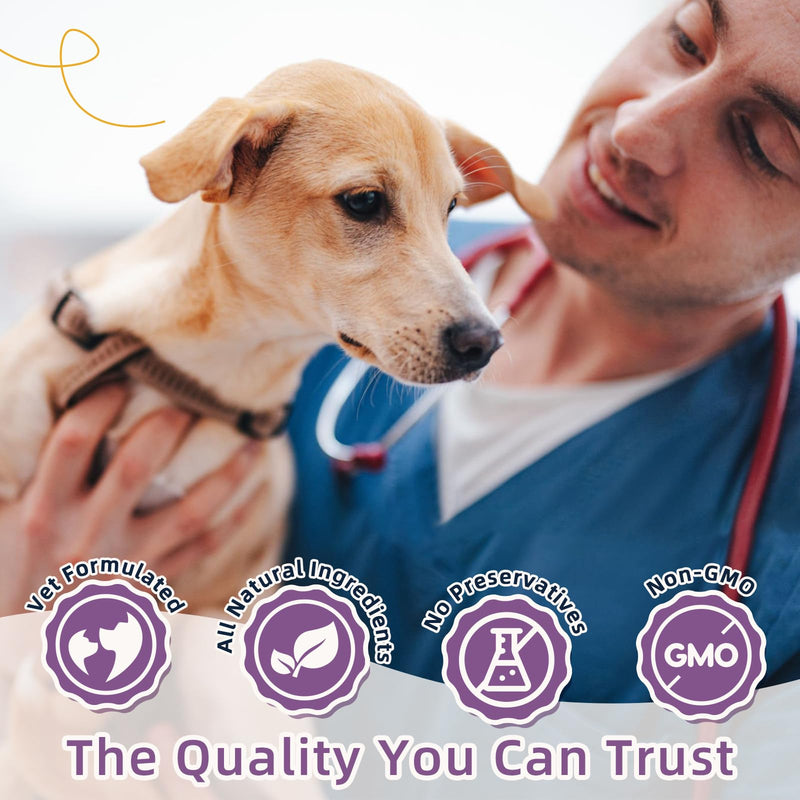 ZEBORA Probiotics for Dogs, Dog Probiotics for Digestive Health, with Pumpkin, Digestive Enzymes, Omega-3, Support Gut, Immune Health, Upset Stomach Relief, Occasional Diarrhea, 120 Freeze Dried Chews