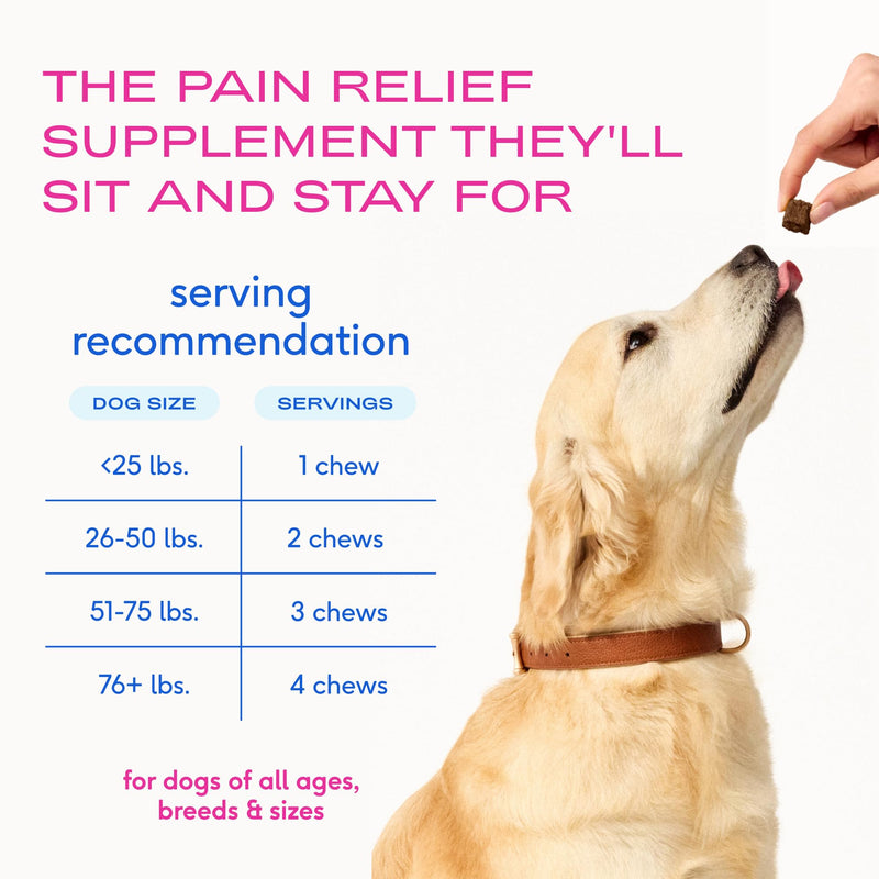 Native Pet Inflammatory Care - Pain Relief for Dogs - Green-Lipped Mussel, Turmeric & Collagen for Dogs - Hip and Joint Supplement Supports Healthy Inflammatory Response & Joint Comfort - 30 Chews 30 Servings
