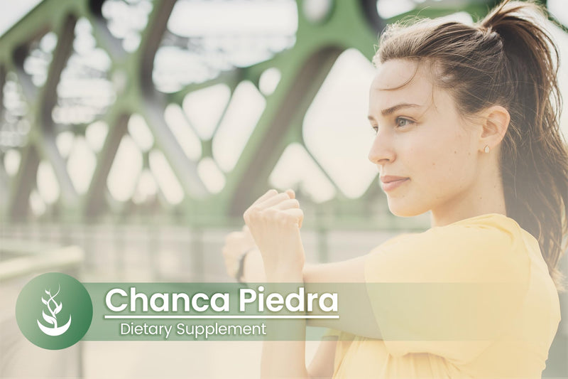 Pure Original Ingredients Chanca Piedra (100 Capsules) Always Pure, No Additives Or Fillers, Lab Verified 100 Count (Pack of 1) - BeesActive Australia