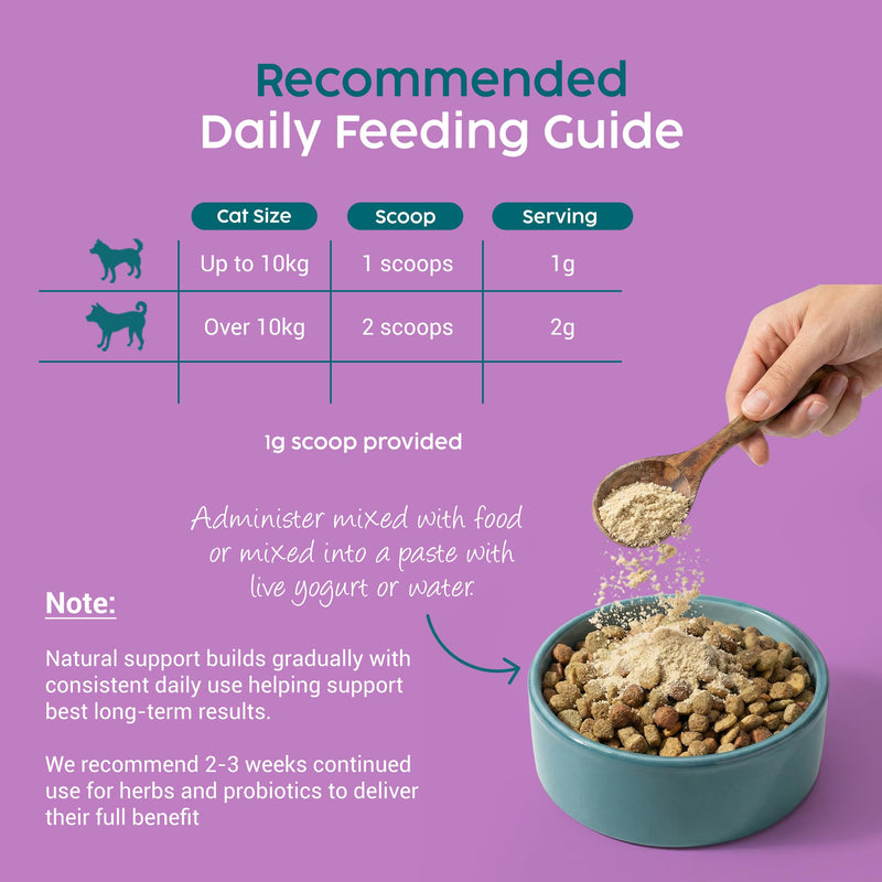 Dog Calming Supplements, Probiotics & L- Tryphtophan Powder for Anxious Dog, Stress and Anxiety for Dogs Support, Fireworks, Car Travel, Long Term Relaxation Treatment - Beef Flavour, 100g