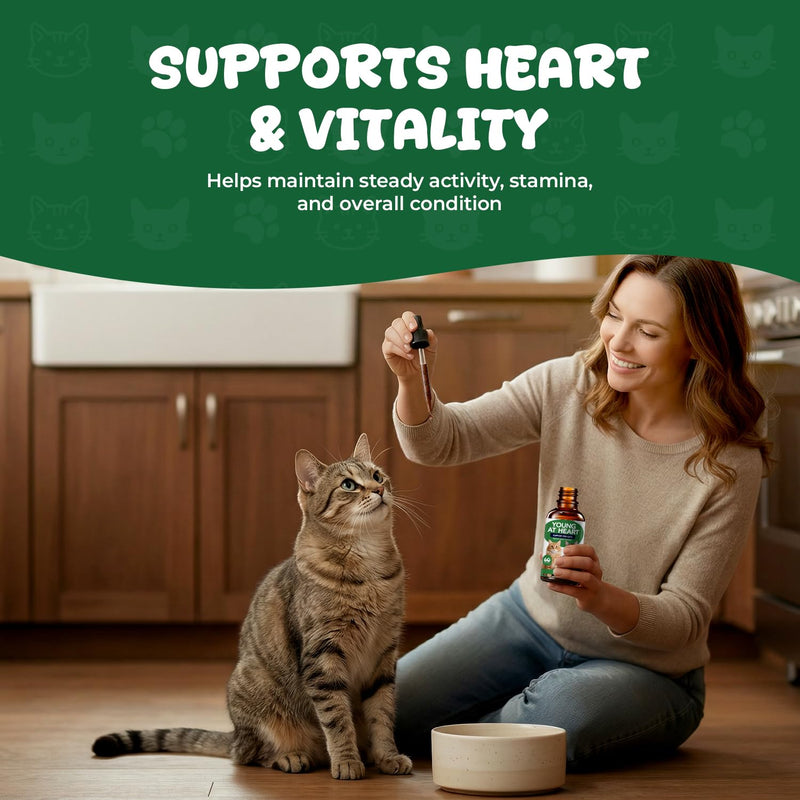 Young Heart Support for Cats – Taurine, L-Carnitine & Hawthorn Liquid Drops for Heart Function & Daily Vitality, Herbal Cardiovascular Support for Cats, Easy Daily Supplement, 2 fl oz