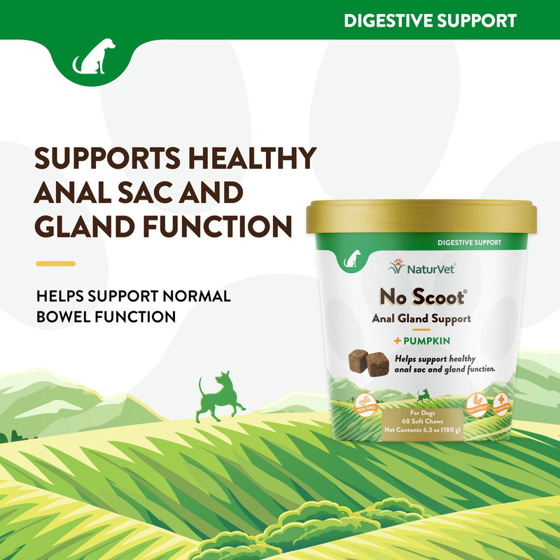 NaturVet - No Scoot for Dogs - 60 Soft Chews - Plus Pumpkin - Supports Healthy Anal Gland & Bowel Function - Enhanced with Beet Pulp & Psyllium Husk - BeesActive Australia