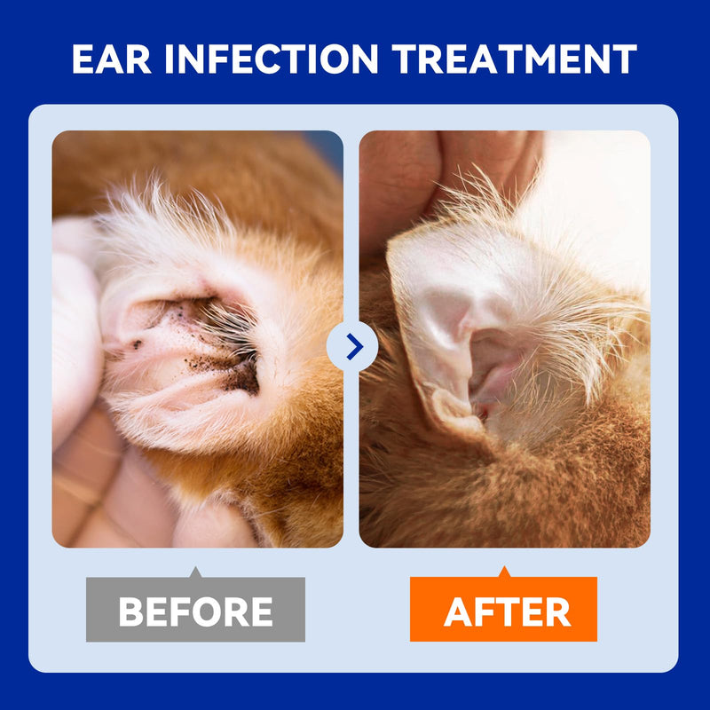 Dog Ear Drops for Dog Ear Infection Treatment, Dog Ear Cleaner with Quantum Silver for Itchy Allergic Ear Relief Solution, Cleans The Debris & Buildup, Prevents Dog Ear Infection, 4oz - BeesActive Australia