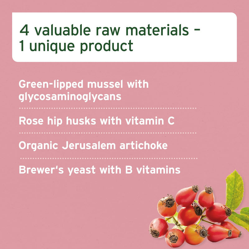 AniForte 4in1 Complete for Dogs 250g - Natural Health Supplement, Supports Joint Care, Digestion, Coat & Skin, With Green-Lipped Mussel & Rosehip, Rich in Vitamins & Minerals
