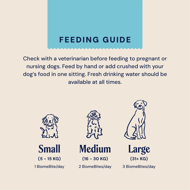 Pooch & Mutt - Fibre Support Supplement For Dogs, Helps Provide Extra Fibre and Support Digestive Health, 180g (Pack of 1) (packaging may vary) Regular
