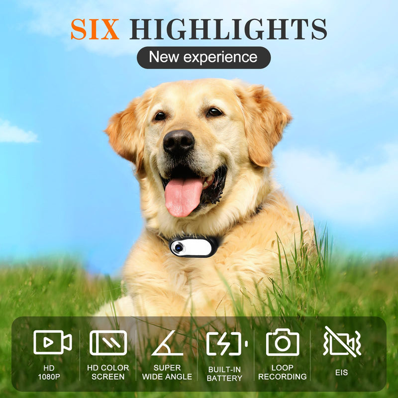 HD 1080P Dog Tracker Collar, No WiFi Needed Cat Collars Camera Sport/Action Camera with Video Records, Mini Body Cam Indoor/Outdoor Wireless Collar Pet Supplies/Stuff Designed for Dogs Birthday Gift - BeesActive Australia