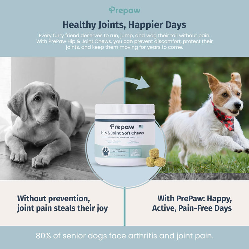 Hip and Joint Supplement for Dogs with Natural Ingredients Glucosamine Chondroitin MSM Turmeric and Collagen Dog Joint Soft Chews for Mobility Support USA Made 120 Count