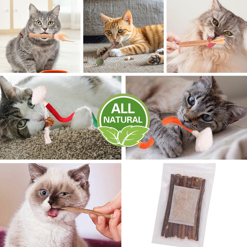 Cat Toys Cat Chew Toys, Silvervine Sticks Catnip Rope Toys for Cats Teeth Cleaning, Kitten Dental Care, Kitty Toys for Indoor Cats Increase Appetite,Enhances Oral & Dental Health (21 Pack) 21 Pack - BeesActive Australia