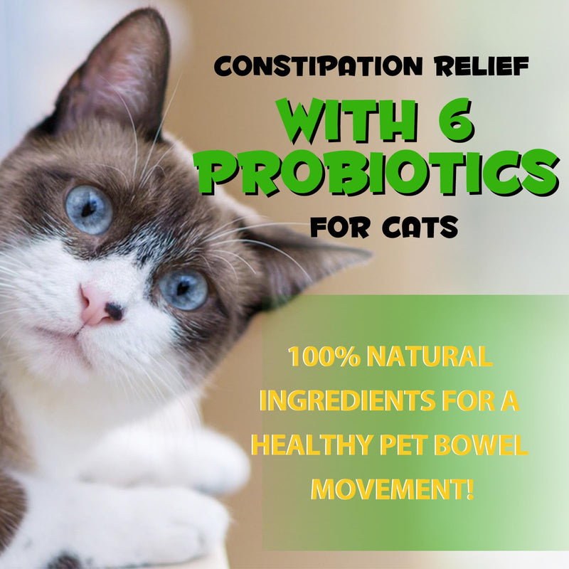 XAYGHE Constipation Treatment, Constipation for Cats, Laxative for Cats, Laxative with 6 Probiotic Supplements, Prevents Stool Buildup, Promotes Cat Intestinal Health, 60ml - BeesActive Australia