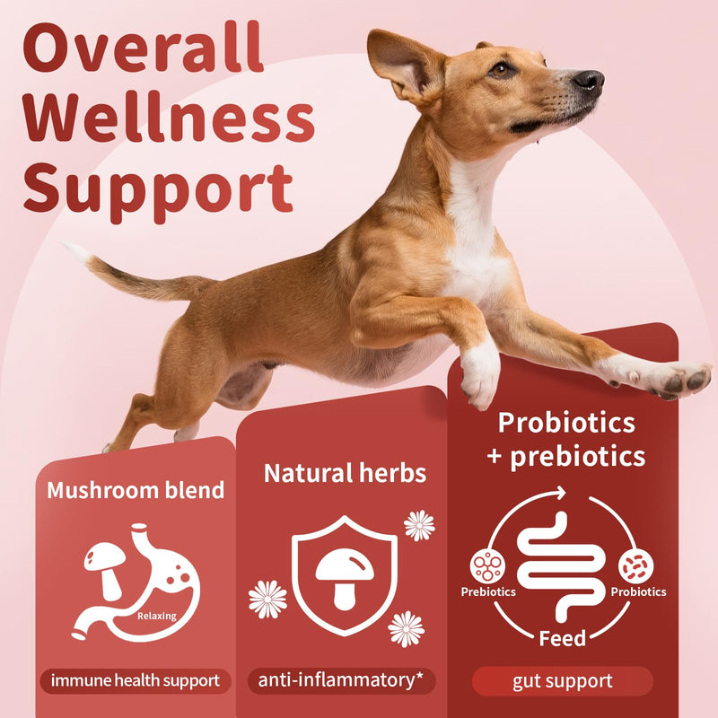 Dog Allergy Chews - Paw Licking, Seasonal Allergy & Itch Relief - Probiotics for Dogs Immune & Gut Health with Turkey Tail Mushroom, Pumpkin - Bacon Flavor - 90 Count 90 Count (Pack of 1)