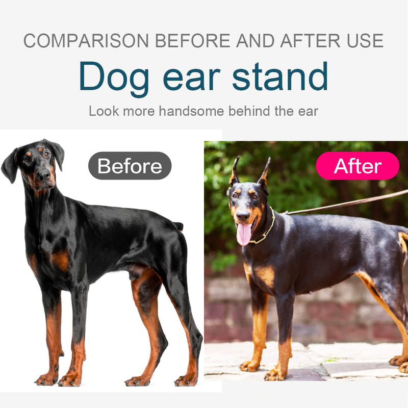 Doberman Dog Ear Posting Kit, Dog Ear Stand Up Support Tool, Dog Ear Tap for Doberman Pinscher Dog - PawsPlanet Australia