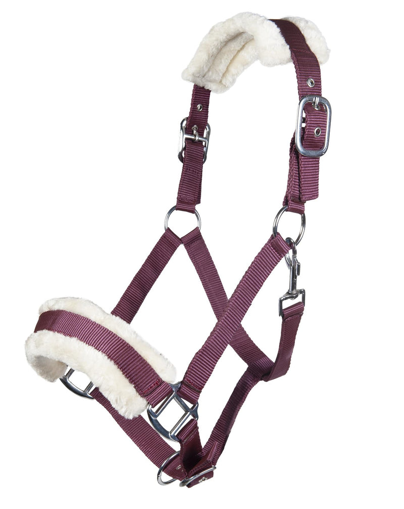 Lot Halter-11796 wine red warmblood