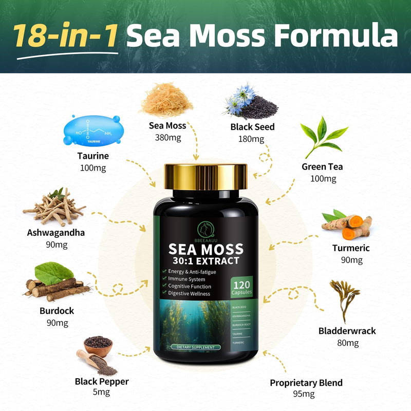 Shilajit for Men, Sea Moss and Shilajit Bundle, All in 1 Supplements with Coenzyme Q10, Black Seed, Ashwagandha, Taurine, Burdock for Energy, Endurance, Antioxidant & Immune Support, 240 Capsules 120 Count (Pack of 2) - BeesActive Australia