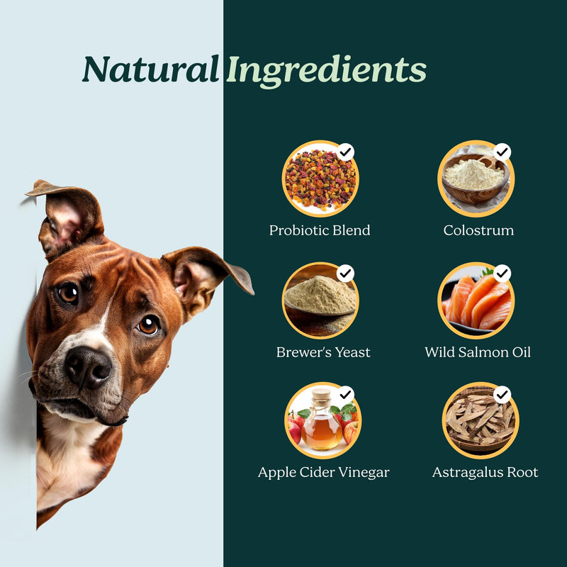 PureBlend Skin & Coat Soft Chews for Dogs — With Colostrum, Salmon Oil, Probiotics & Brewer's Yeast — Dog Coat Supplement — 120 Chews, Up to 4 Month Supply