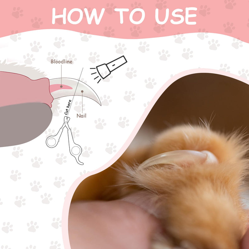 Quacc Professional Cat Nail Clipper Non-Slip Big Handles Claw Trimmer Safe Sharp Stainless Steel Scissor Small Pet Animal Grooming Clipper for Small Dogs, Puppies, Rabbits, Birds - BeesActive Australia