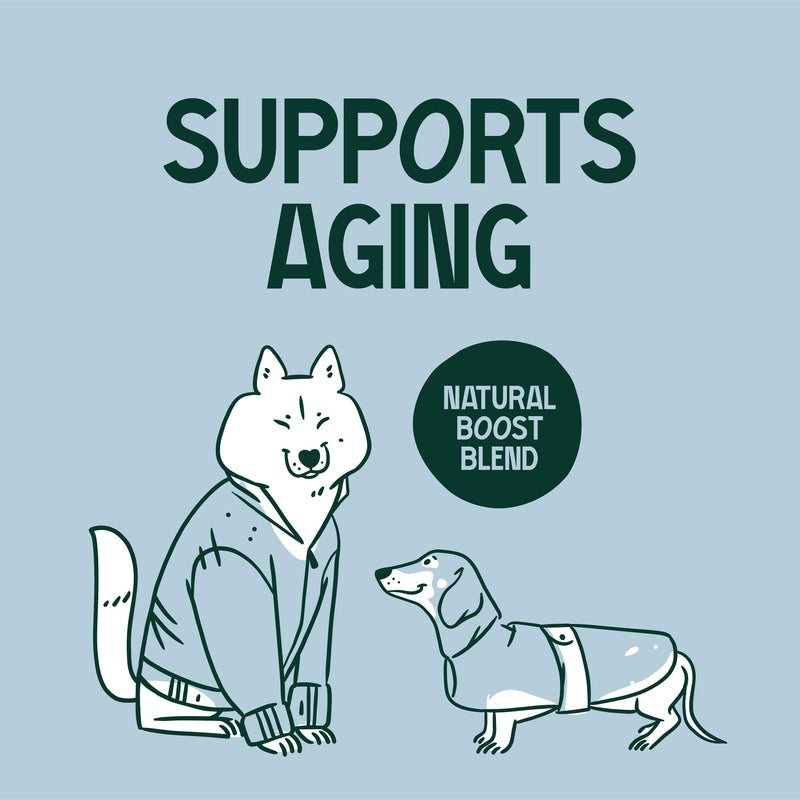 Senior Care Natural Health Supplement for Senior Dogs 160g – Daily Nutritional Support with Vitamins, Minerals & Botanical Ingredients