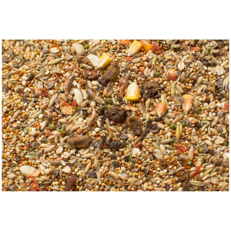JR FARM Hamster Feast 600 g Fruits 600 g (pack of 1) - BeesActive Australia