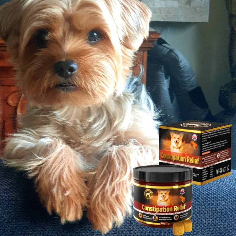 dog constipation treatment – Stool softener recommended by vet (Chicken flavour) Chicken flavour