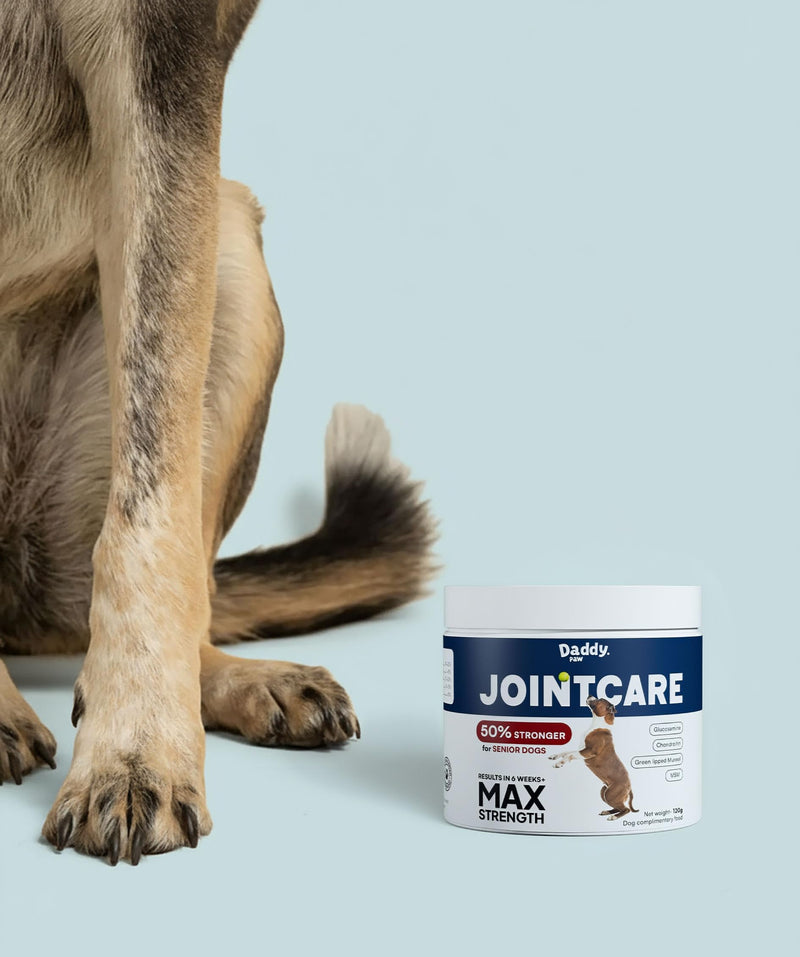 Joint Supplements for Dogs Max Strength Glucosamine & Chondroitin with Green Lipped Mussel for Dogs & MSM For Severe Joint Stiffness, Mobility & Dog Pain Relief Anti Inflammatory Beef Max Strenght