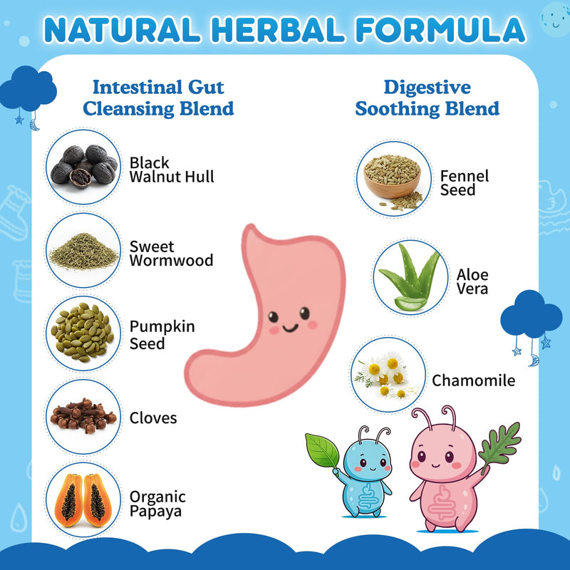 Wormwood Black Walnut Clove Para Clean for Humans & Kids, Herbal Gut Health Gummies with Wormwood, Pumpkin Seeds, Vitamin C, D3, Zinc, Probiotics for Natural Gut Cleanse, Immune Support - 2 PACK 60 Gummies (Pack of 2)